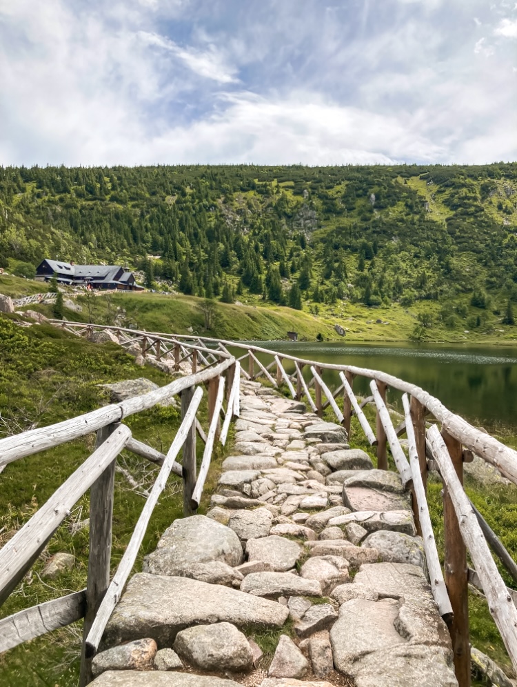 Justyna Wiszowaty psycholog Bielsko-Biała